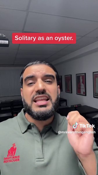 #fyp #foryoupage #mreverythingenglish #gcse #luton #viral