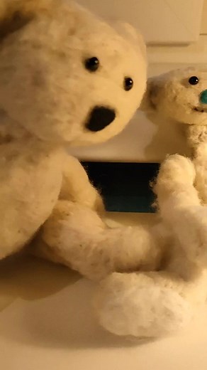 Giant Bear Encounters: Man vs Bear Showdown