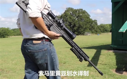 Ruger RPR 狙击步枪 - 200-1100码 - 实用性精度测试