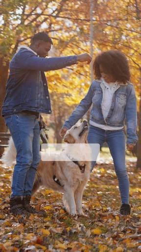 Fall means cooler days and longer walks—perfect for your pup. 🍂 With VIP Pets, they’ll enjoy the fresh air, exercise, and companionship they deserve, even on your busiest days. #FallWithPets #VIPPets #LuxuryPetCare #DogWalking #PetWellness #HappyPets #TrustedCare #PeaceOfMind | VIP Pet Services