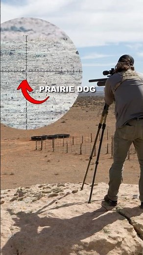 Pest Control SNIPER! Hunting Prairie Dogs with the NEW FX Leopard!