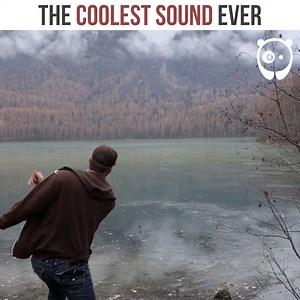 2.3M views · 10K reactions | The coolest sound ever by LiveEachDay | Bored Panda Art | Facebook