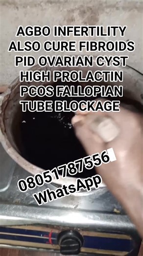 1.4K views · 22 reactions | AGBO INFERTILITY ALSO CURE FIBROIDS PID OVARIAN CYST HIGH PROLACTIN PCOS FALLOPIAN TUBE BLOCKAGE | Omo Eshanla AlawoyeTraditional Healing Center | Facebook