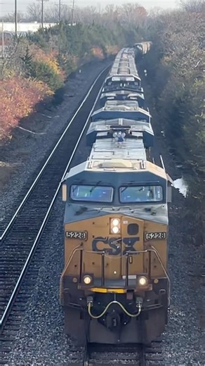 Csx going under bridge with horn salute