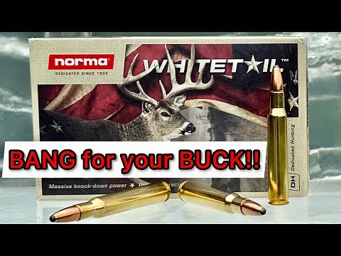 BUDGET BUCK KILLERS?! 30-06 Norma Whitetail 150gr Ammo Test