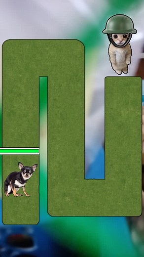 Playful Cat and Dog Animation with Military Theme