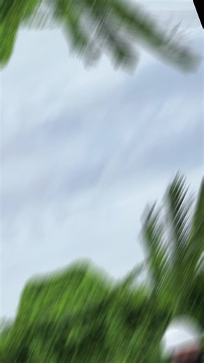 Khăn trùm đầu LC Touring Style: Không Giãn Sau Một Năm