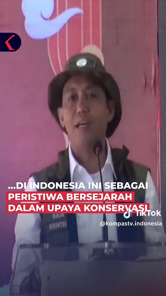 Setelah 9 tahun penantian, panda betina Hu Cun di Taman Safari Indonesia, Bogor, Jawa Barat, akhirnya melahirkan seekor anak panda melalui inseminasi buatan keempat. Bayi panda yang lahir pada 27 November 2025 itu diberi nama Satrio Wiratama atau Rio, nama yang diberikan Presiden Prabowo Subianto. Saat ini, Rio genap berusia 40 hari dengan kondisi terus membaik dan berat badan sudah bertambah lebih dari satu kilogram. Saat ini, bayi panda Satrio Wiratama belum dapat ditampilkan kepada pengunjung