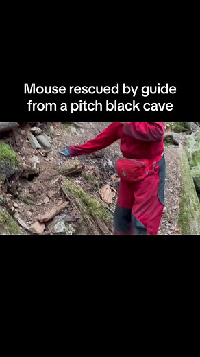 Not all heroes wear capes, some wear cave suits #hornelakecaves #mousetrap