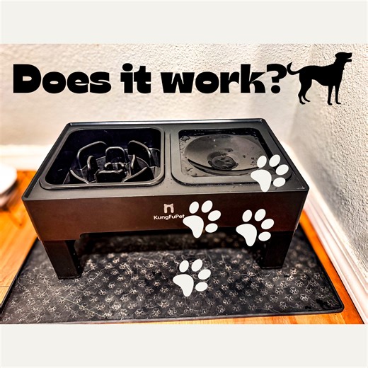 Watch Does it work? Slow feeder & water bowl-My thoughts & review on Amazon Live
