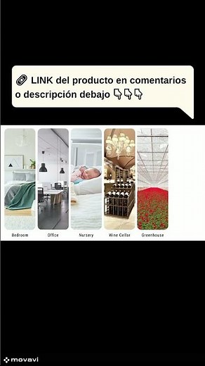 📲 ThermoPro TP357: ¿El Mejor Termómetro Higrómetro Bluetooth para Casa? 🔥🌡️