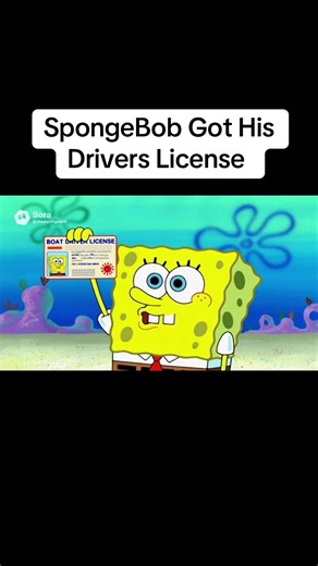 SpongeBob Got His Drivers License #sora #ai #SpongeBob #foryourpage #fyp