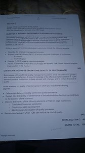 Essay 1: Business StrategiesDescribe the strategic management... | Filo