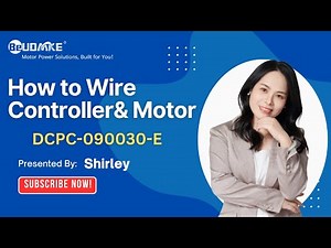 How to have the wire connection for Brushless DC Servo Motor and Driver ?