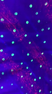 Besuch im Museum der Illusionen Stuttgart. - Our Constance students visited the Museum of Illusion in Stuttgart. #humboldtinstitut #humboldtinstitutkonstanz #konstanz #constance #bodensee #deutschlernen #deutschkurse #learngerman #learngermaninconstance #germancourses #germanclasses #fdsv #qualitylanguagelearning | Humboldt-Institut