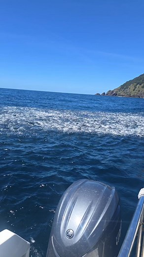 30K views · 168 reactions | Stackattack Sports Fishing on Reels | Facebook