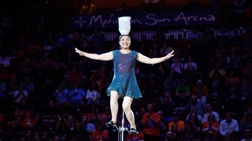 Red Panda released from hospital after fall at WNBA game