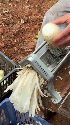 Quick-Cut Veggie Slicer | Farm Prep Hack