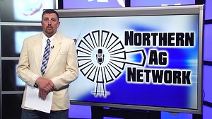 Northern Livestock Video Auction... - Northern Ag Network