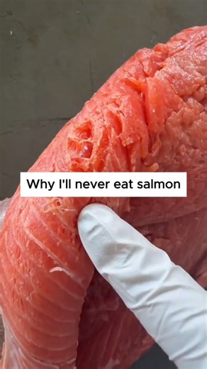 David Wolfe on Reels