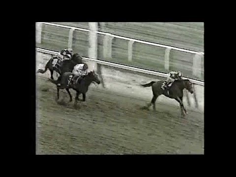 Belmont stakes (G1) 1981