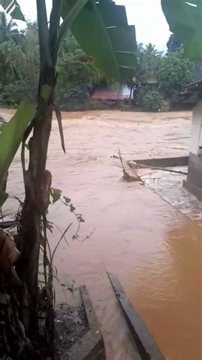 මේ වැස්ස නම් බය හිතෙනවා 🌧️🇱🇰 Sri Lanka Extreme Weather Alert! #extremeweather #shorts #viral