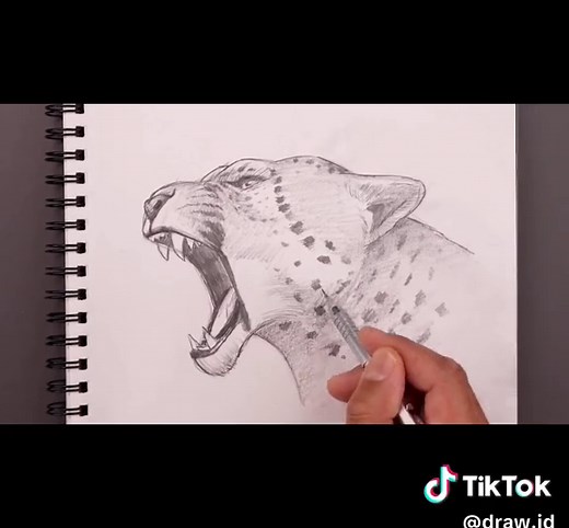 How to Draw a Realistic Cheetah with Pencil - Easy Leopard Drawing Tutorial