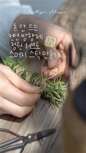 마당 식물 200% 활용법 #50대브이로그 #단독주택라이프 #감성브이로그 #스튜디오사공