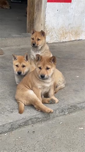 Nature | Vacation | Adventures on Instagram