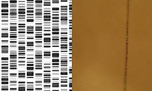 HOMEMADE COOKIES & COMPARTMENTALIZED STORAGE STRUCTURE