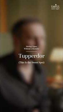 What Is a Tupperdor? Best DIY Cigar Storage Explained. Tupperdor vs Humidor #CigarStorage #cigartips