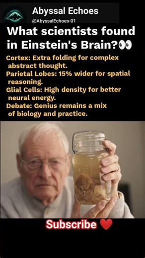 What Is special about Einstein's brain? #facts