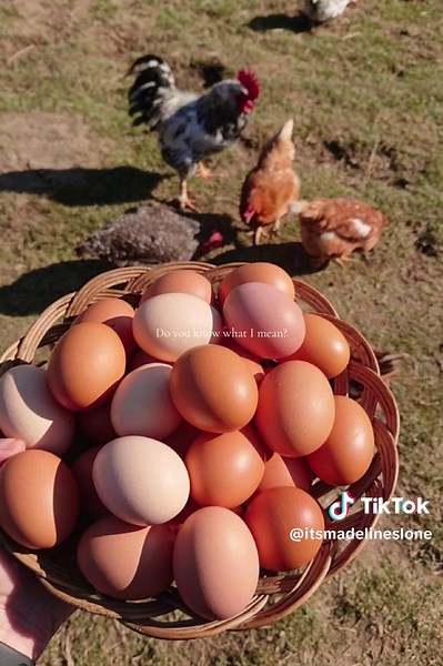 Embracing the Feminine Urge to Cook with Fire