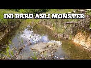 PASANG TAJUR DI PARIT GAJAH HASILNYA DI LUAR DUGAAN MAS BRO