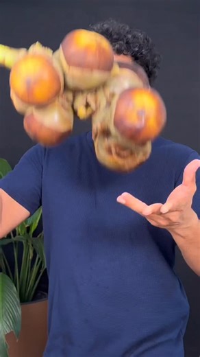 Charith N Silva on Instagram: "What is this fruit called in your language?"