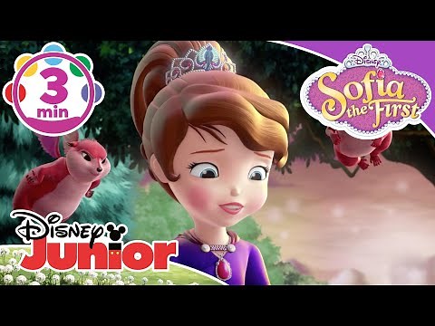 Sofia the First | Bravest Bunny Song 🎶 | Disney Kids