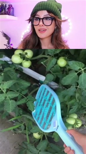 Most Satisfying Fly Swatter Ever!