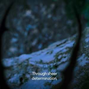 707 reactions · 50 shares | It's a stag beetle showdown—love is the prize!  Season 2 of #ARealBugsLife, narrated by Awkwafina, streams Jan 15 on Disney+ | National Geographic Animals | Facebook