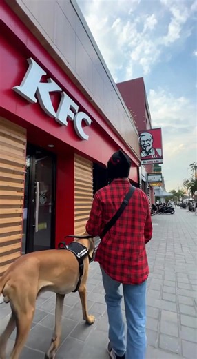 Đi ăn KFC cùng chú chó Cao Bằng của anh Độ Mixi