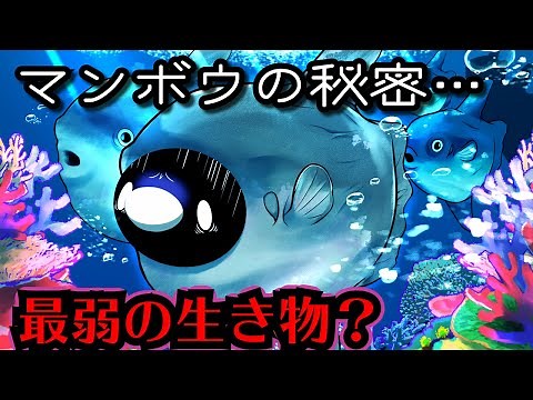 【アニメ】最弱伝説…マンボウの一生