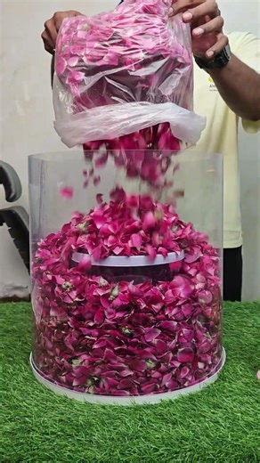 Transparent Cake Box Will Blow Your Mind #shorts