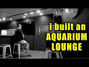 I turned my basement WALL into an AQUARIUM and here’s how I did it!