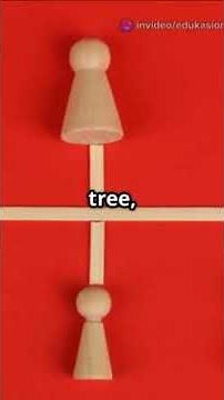 Struktur Data: Dasar Pemrograman yang Wajib Tahu!