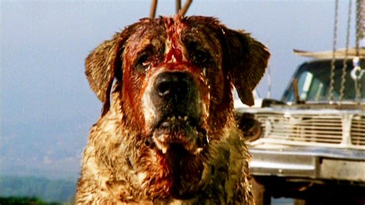 Netflix Bringing Stephen King’s ‘CUJO’ Back to Life With a New Movie