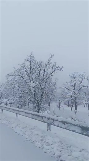 10 de febrero de 2026