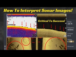 Here’s How To Successfully Interpret Sonar Images! It’s Critical!
