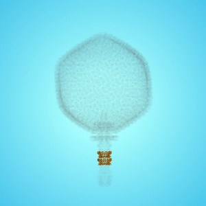 301 new entries in #PDBrelease (https://buff.ly/2KQsivl)! Here is a 60 megadalton plus structure (1,445 protein subunits) of a virus common in human gut (https://buff.ly/40Q4UDH) ➡️ a bacteriophage (viruses that infect bacteria) ➡️ @Nature ➡️ https://buff.ly/47N7UTx | Protein Data Bank in Europe (PDBe) | Facebook