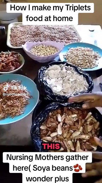 Soya Beans Powder Preparation for Baby Food