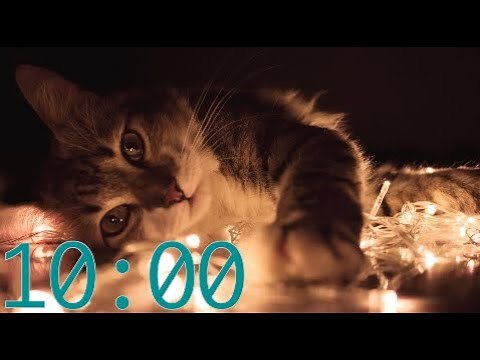10 Minute Timer with Cats - Relaxing - Stress Relief - Music with Alarm