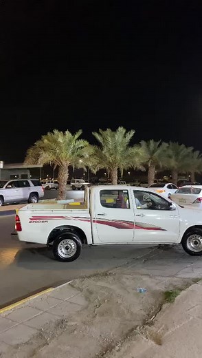 Driving Through a Palm Tree-Lined Night Road